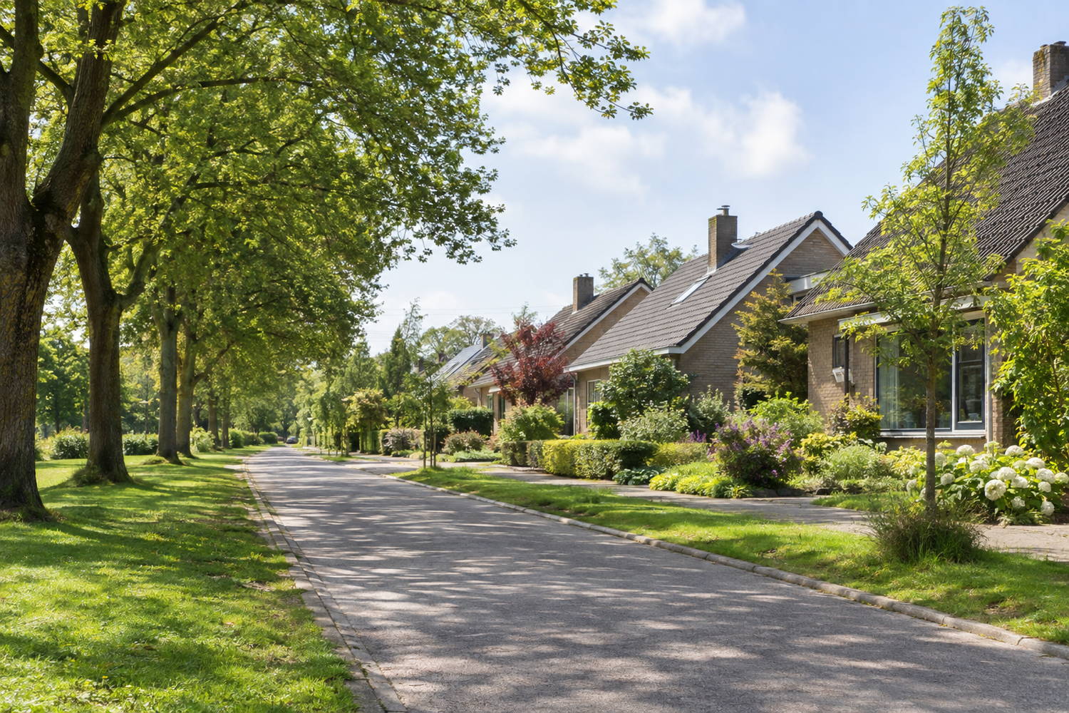 Woonstraat met brede groene bermen, volgroeide bomen en grondgebonden woningen met een pannendak