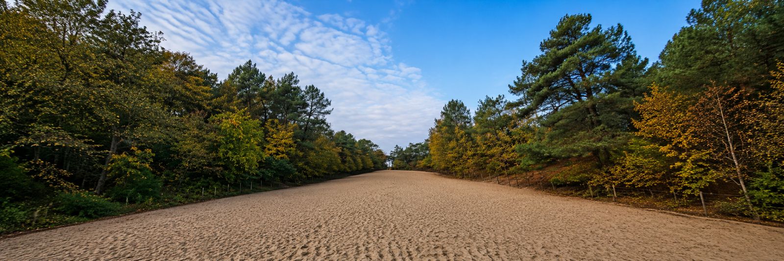 Zandpad door de Schoorlse duinen